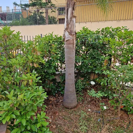 Sicily's Garden Appartement *