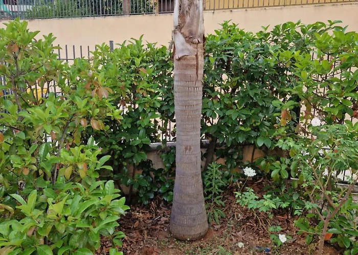 Sicily's Garden Appartement *